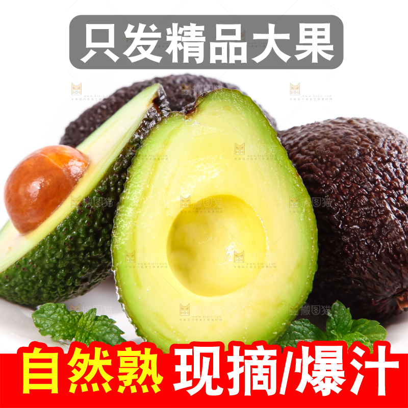 白底上的墨西哥牛油果