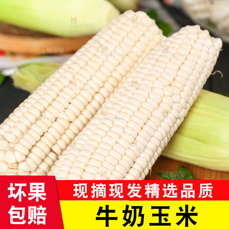 木板上摆放着漳州牛奶玉米