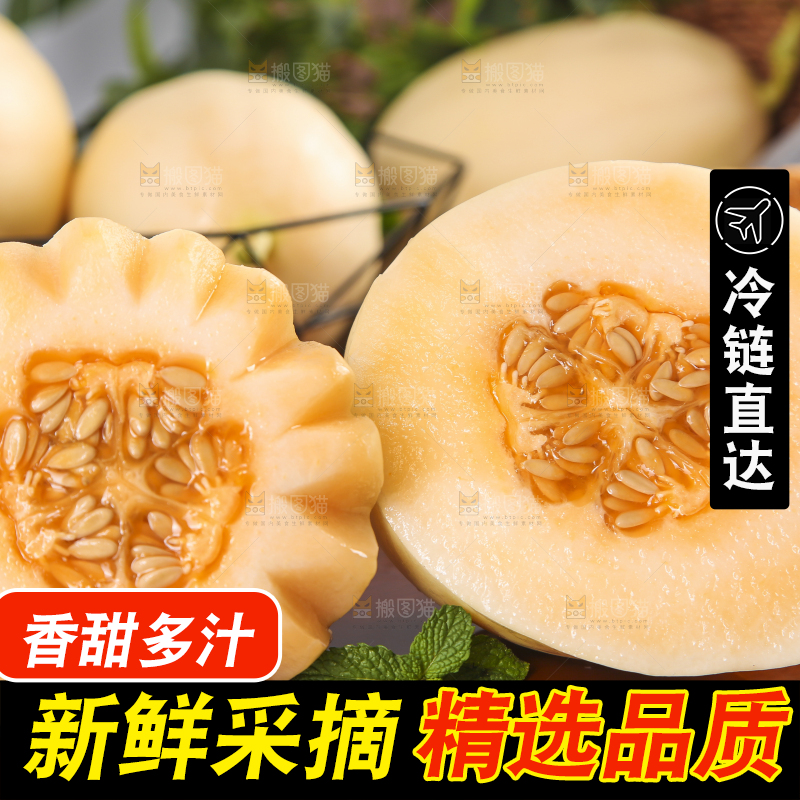木底上摆放着州东方蜜一号甜瓜