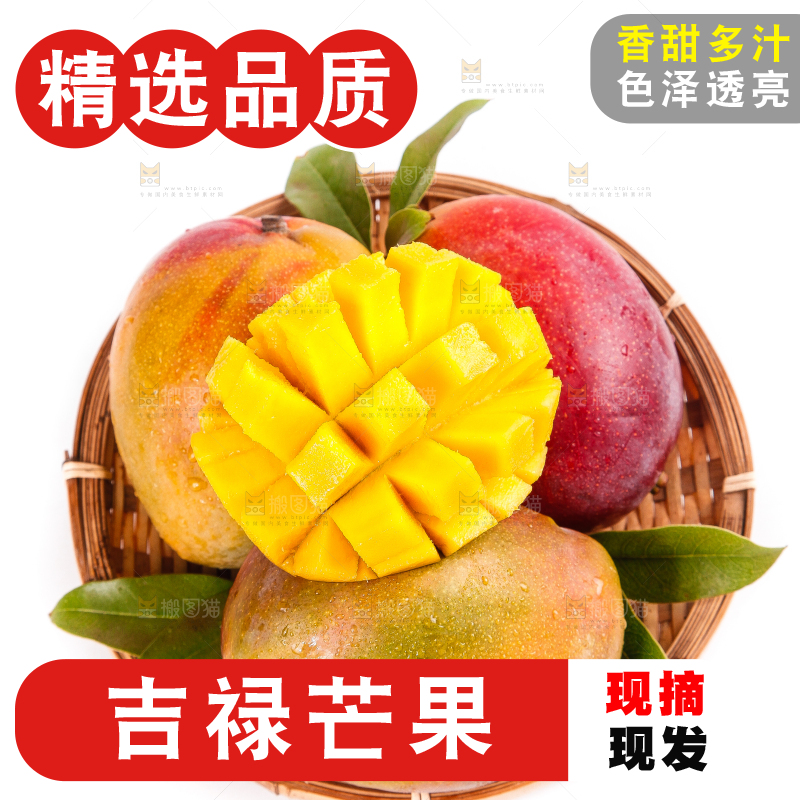 白底上的四川吉禄芒