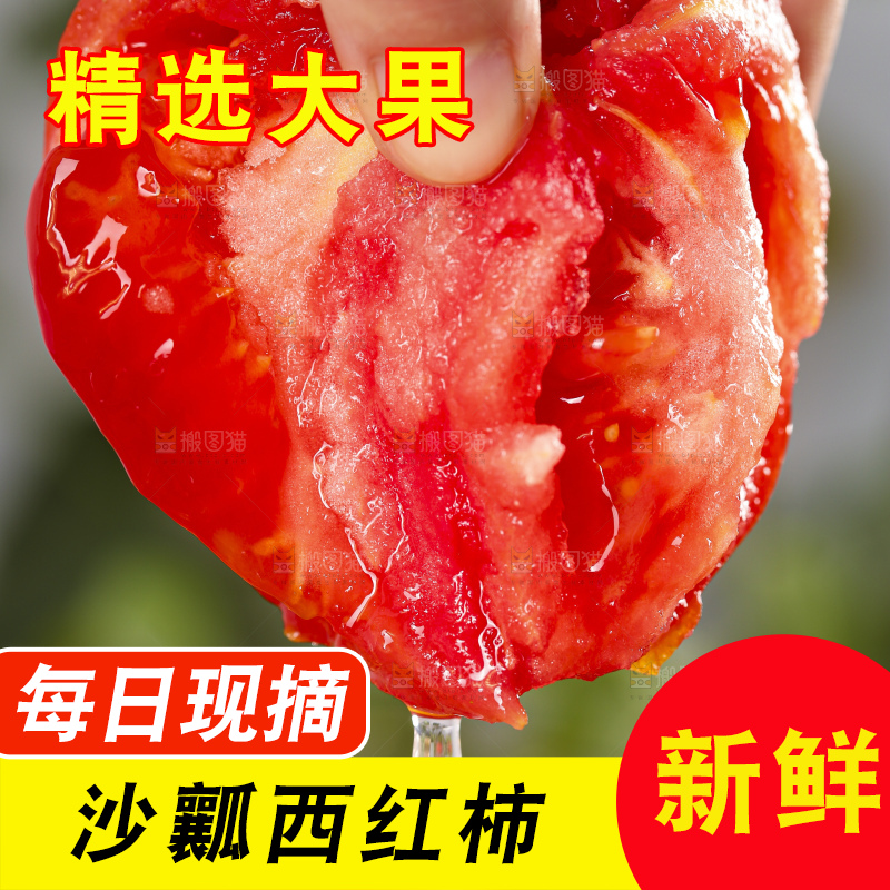 手里拿着米易沙瓤西红柿