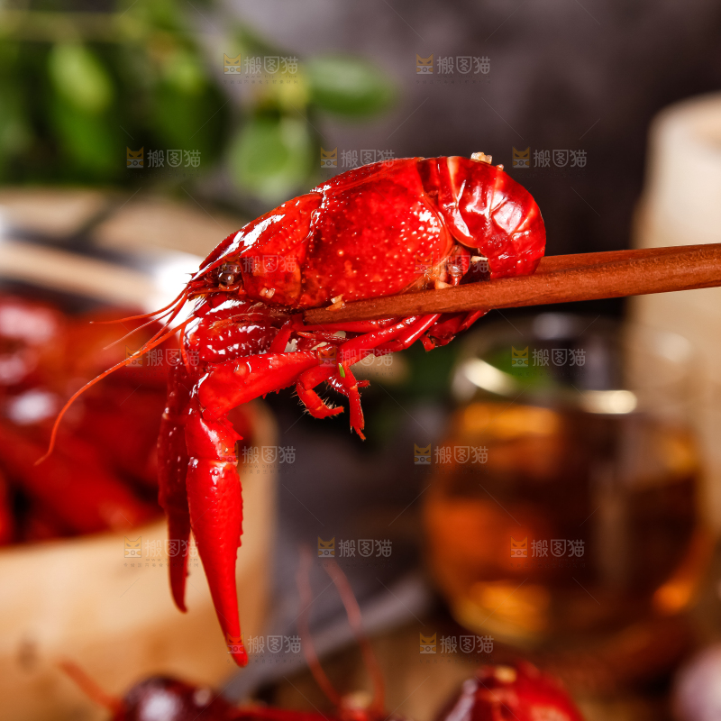 筷子上夹着香辣小龙虾