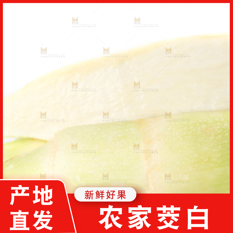 白底上的茭白