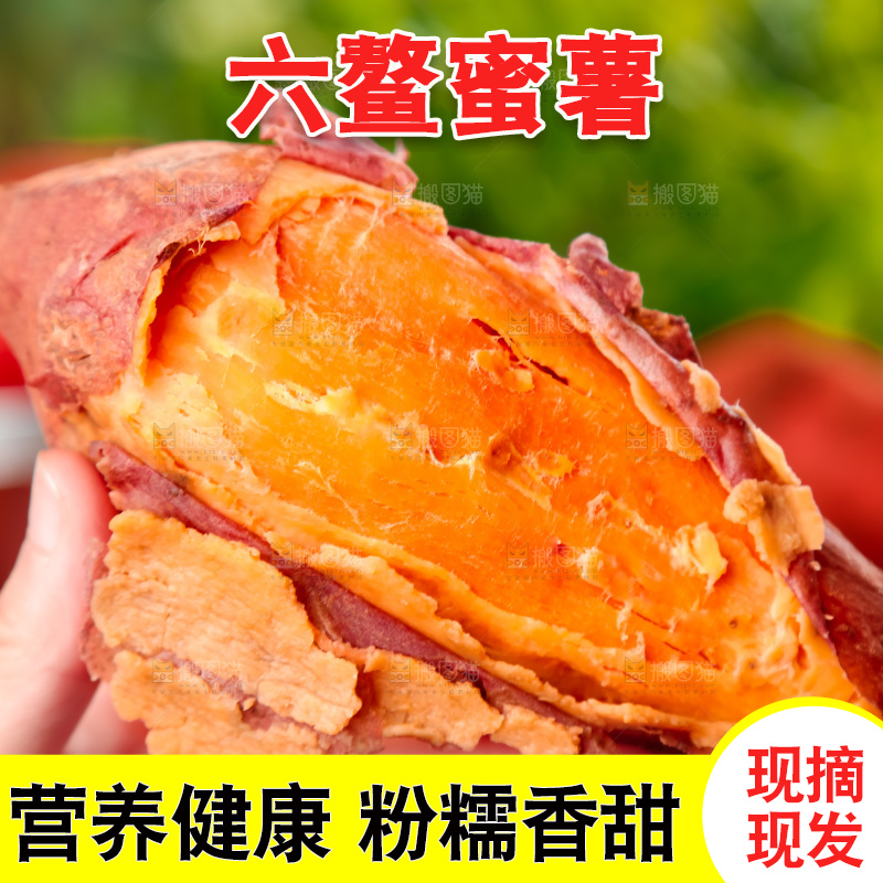 手里拿着板栗薯