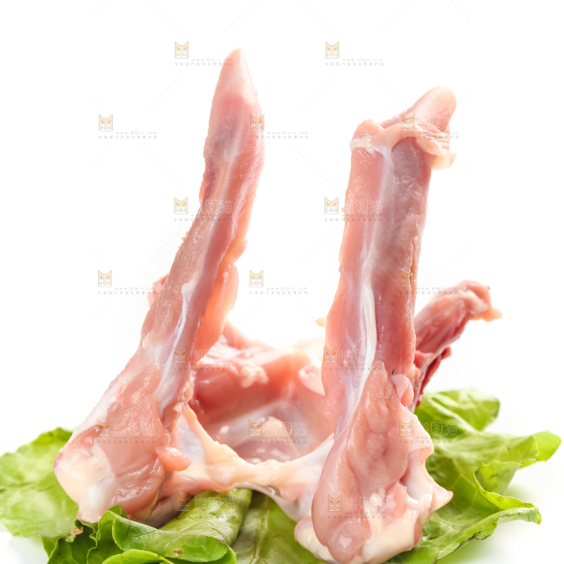 白底上的鸭锁骨