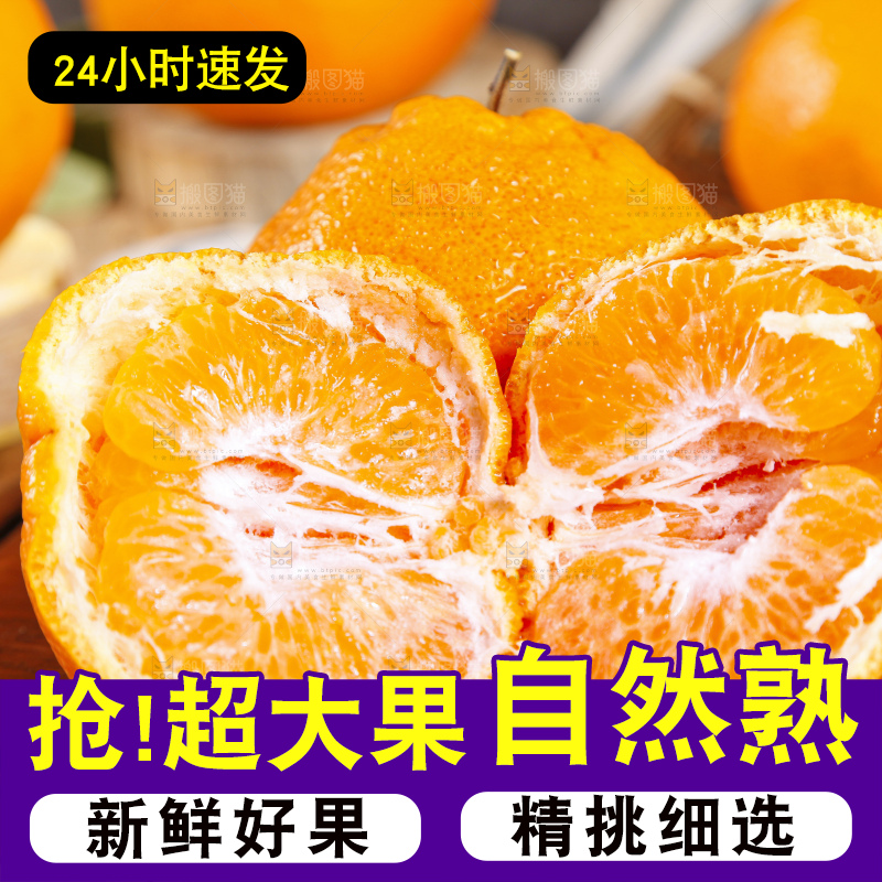 木板上的春见耙耙柑