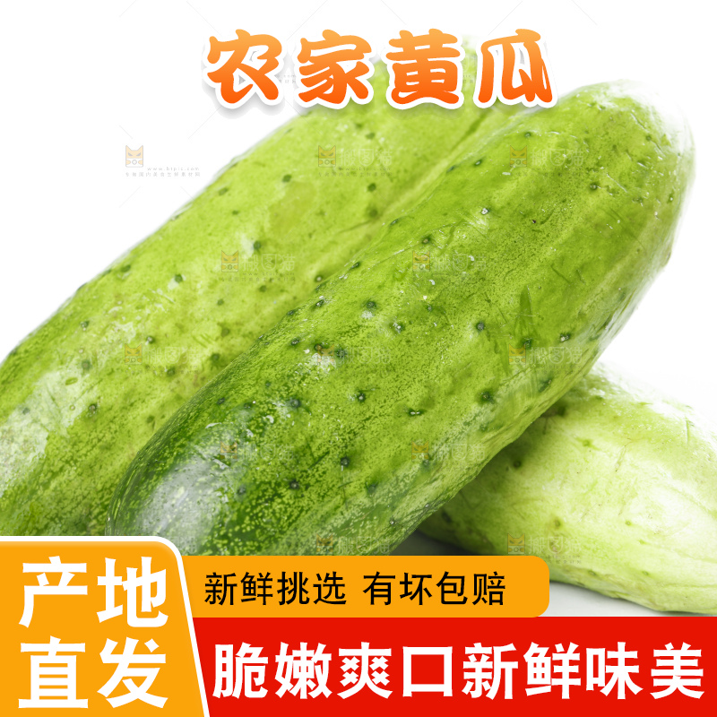 白底上放着刺黄瓜