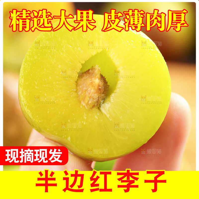 手里拿着茵红李