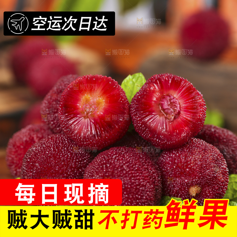 木板上的高山大杨梅