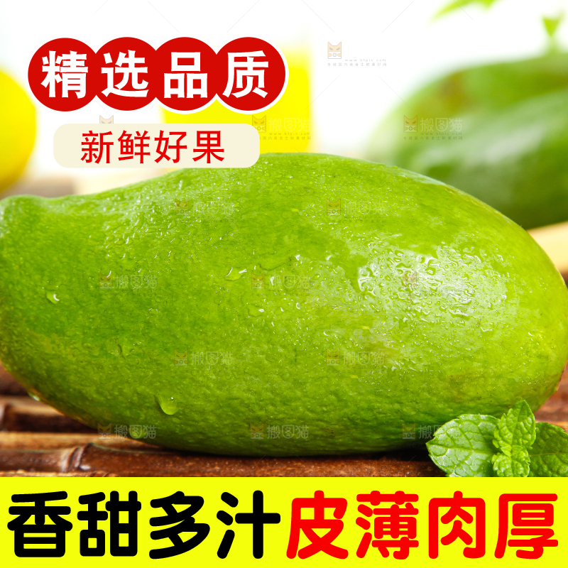 竹底上的青皮桂七芒