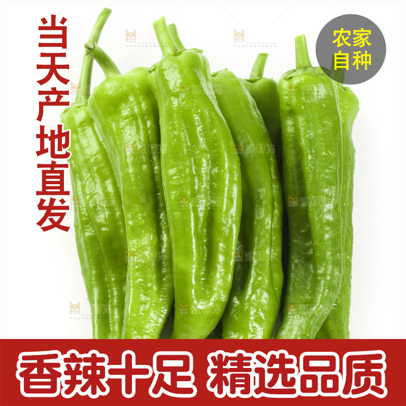 白底上摆放着青辣椒