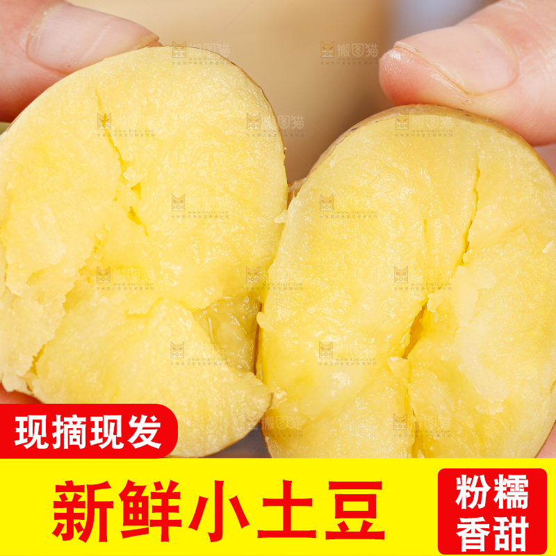 手里拿着迷你小土豆