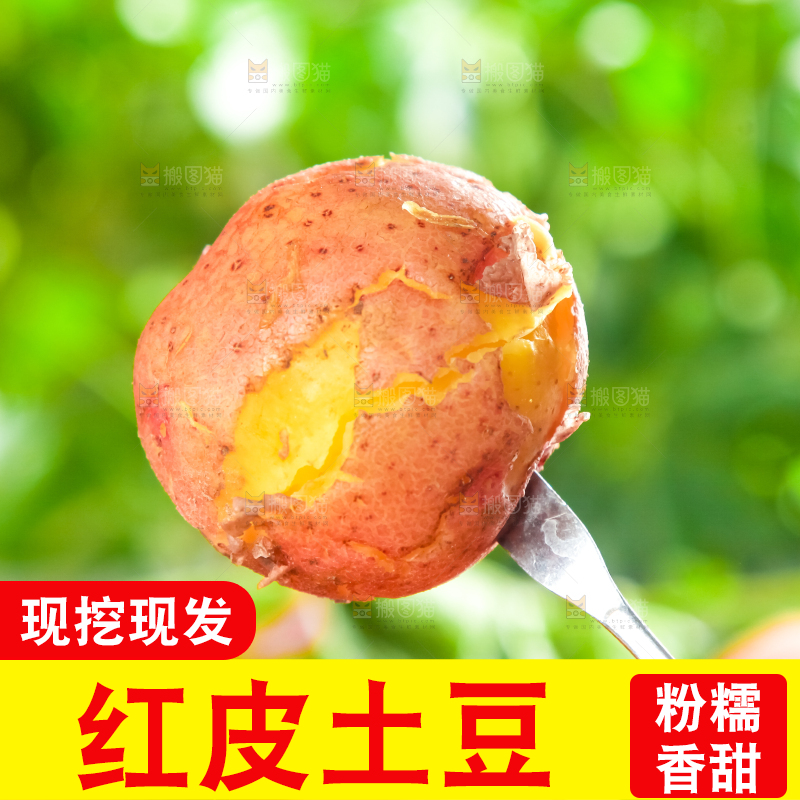 手里拿着土豆