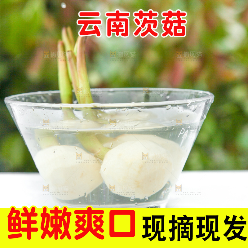 盆里放着茨菇