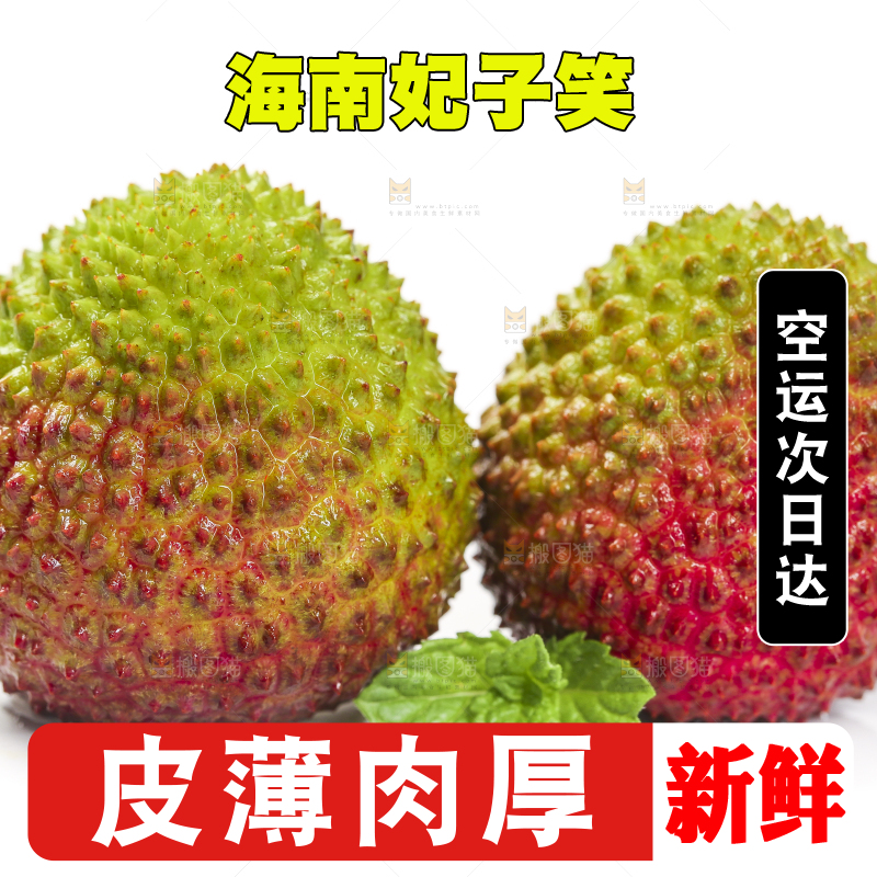 白底上摆放着妃子笑荔枝