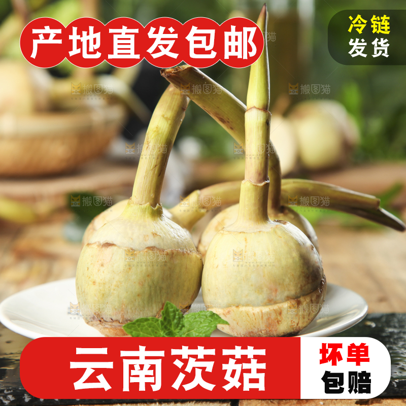 盘子里装着白慈菇