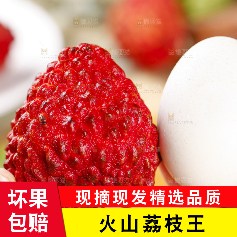 手里拿着新鲜荔枝王