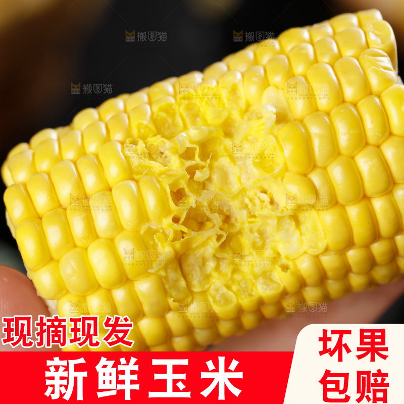 手里拿着新鲜玉米