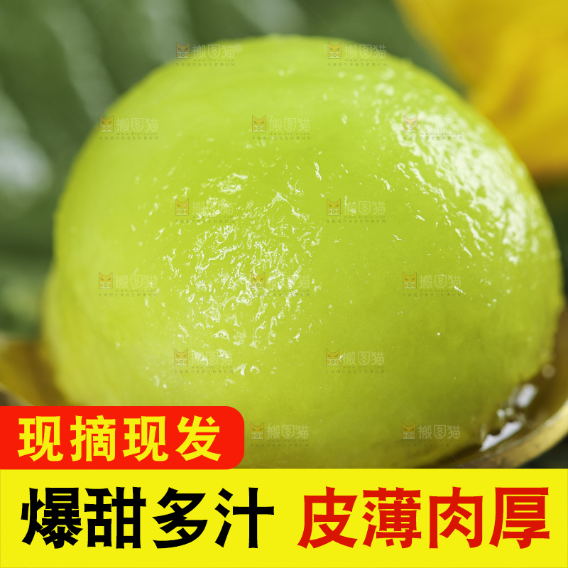 勺子上放着绿宝甜瓜的果肉