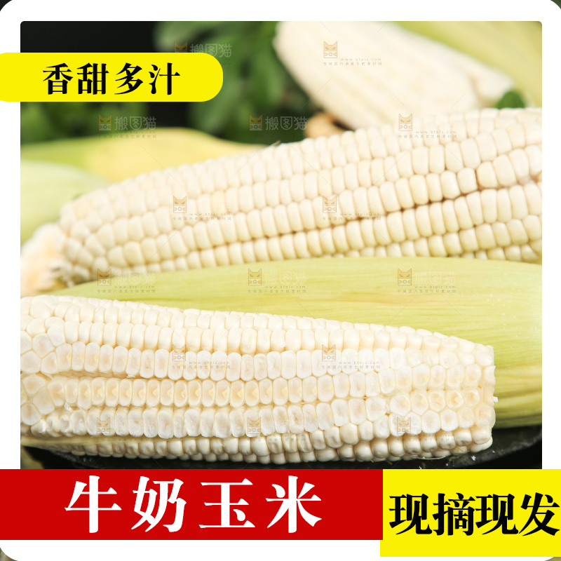深底上放着漳州牛奶玉米