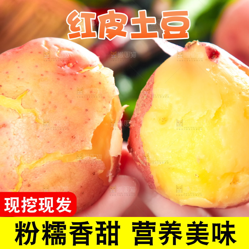 手里拿着土豆