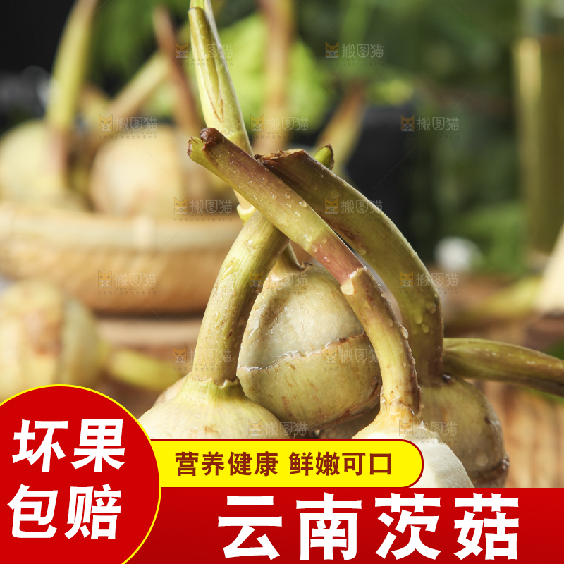 盘子里装着白慈菇