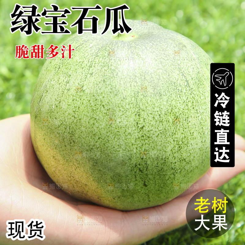 手里拿着绿宝小甜瓜 