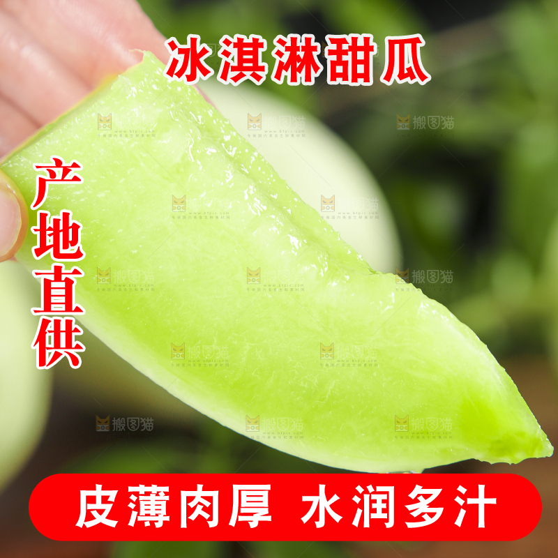 玉菇甜瓜主图
