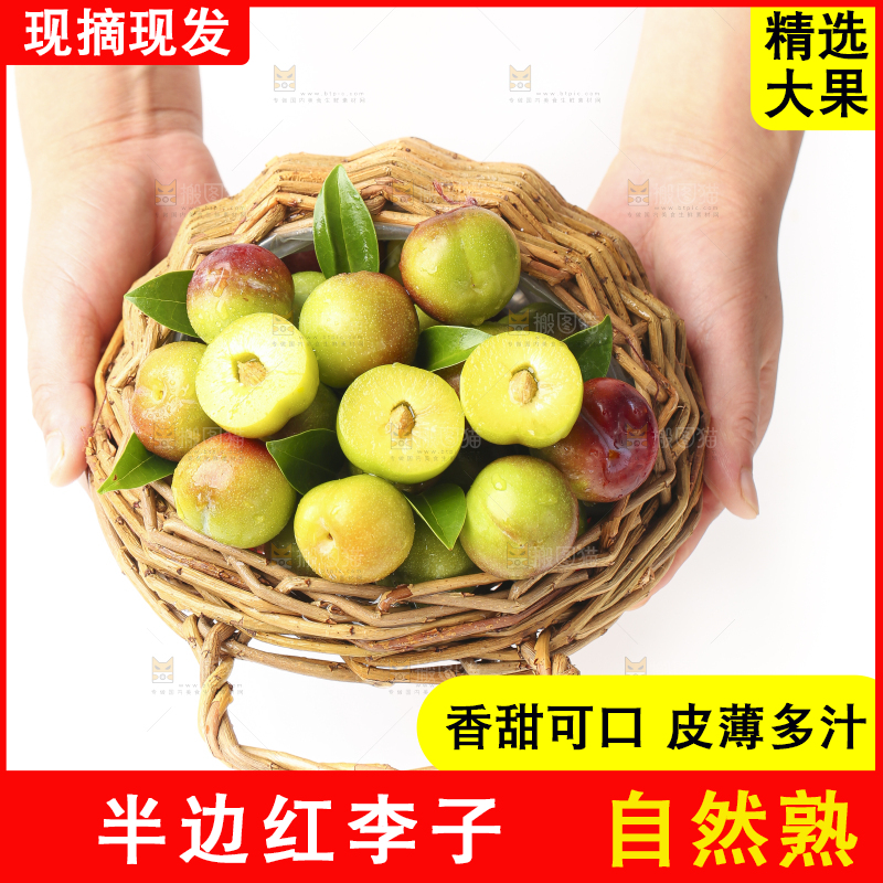 篮子里装着茵红脱骨李