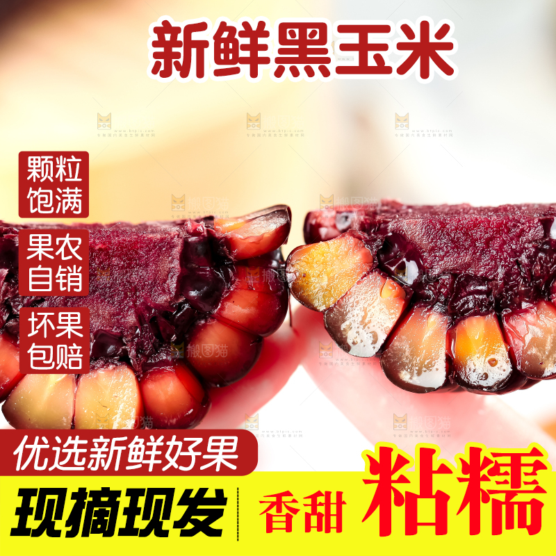 手里拿着黑珍珠玉米