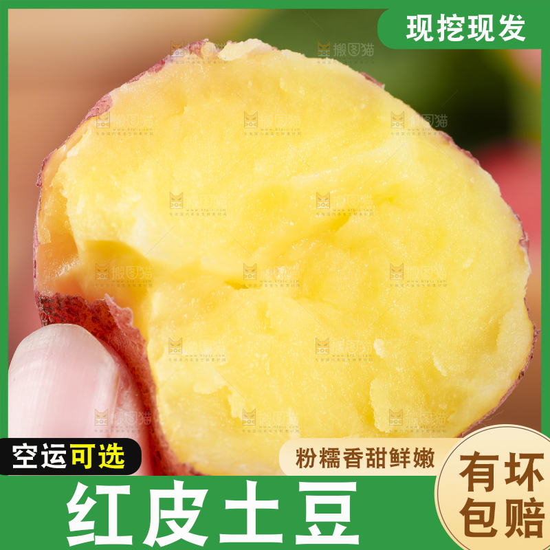 手里拿着红皮土豆