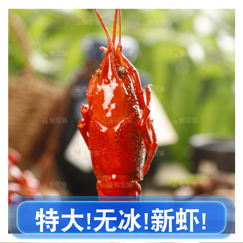 手上拿着一只蒸虾