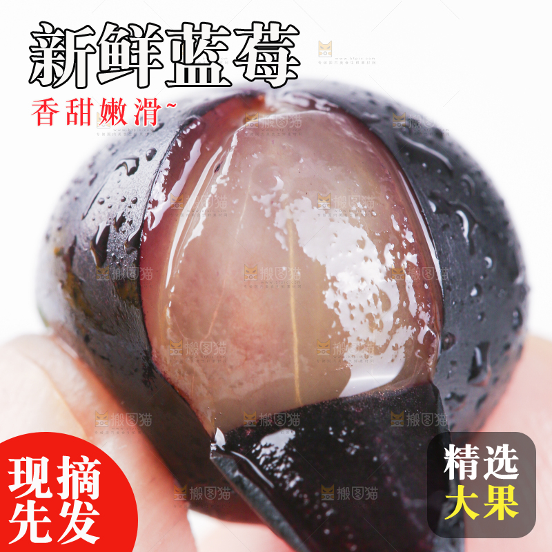 手里拿着蓝莓果