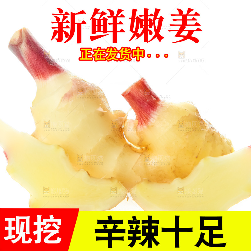 白底上的红芽嫩姜