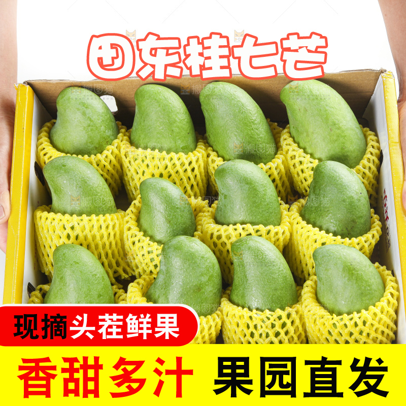 箱子里装着百色田东桂七芒