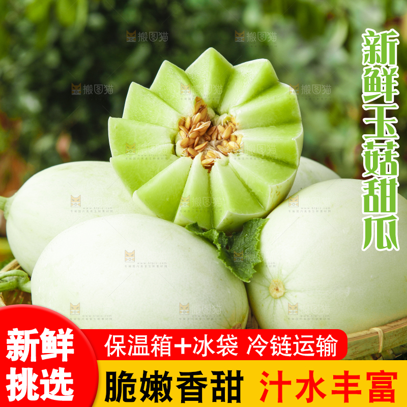 篮子里装着南汇玉菇甜瓜