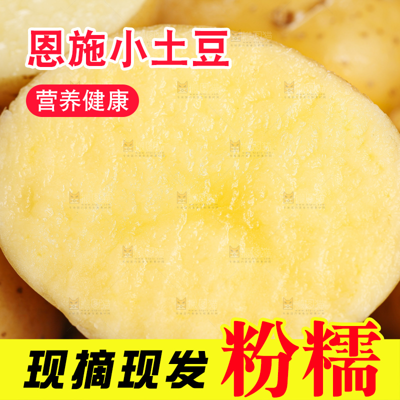 深底上的宜昌小土豆