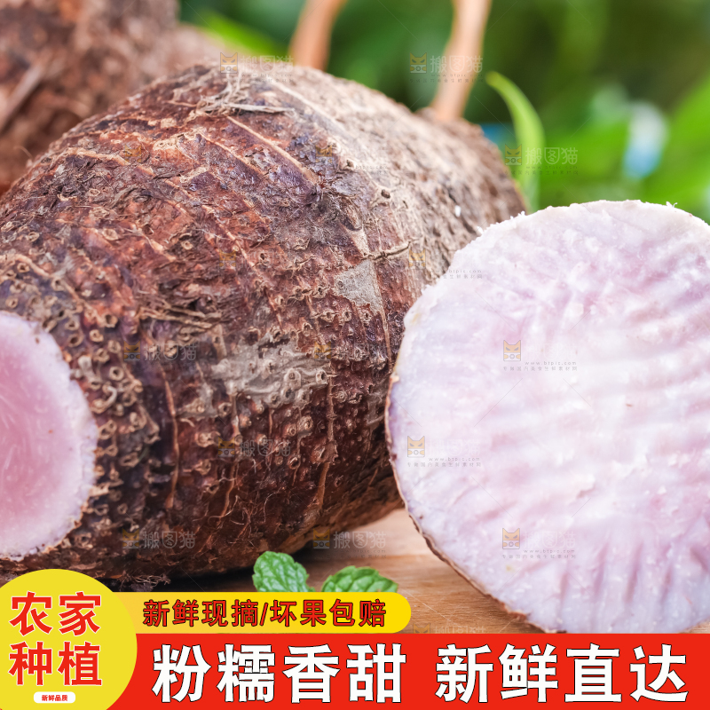木底上放着新鲜芋头
