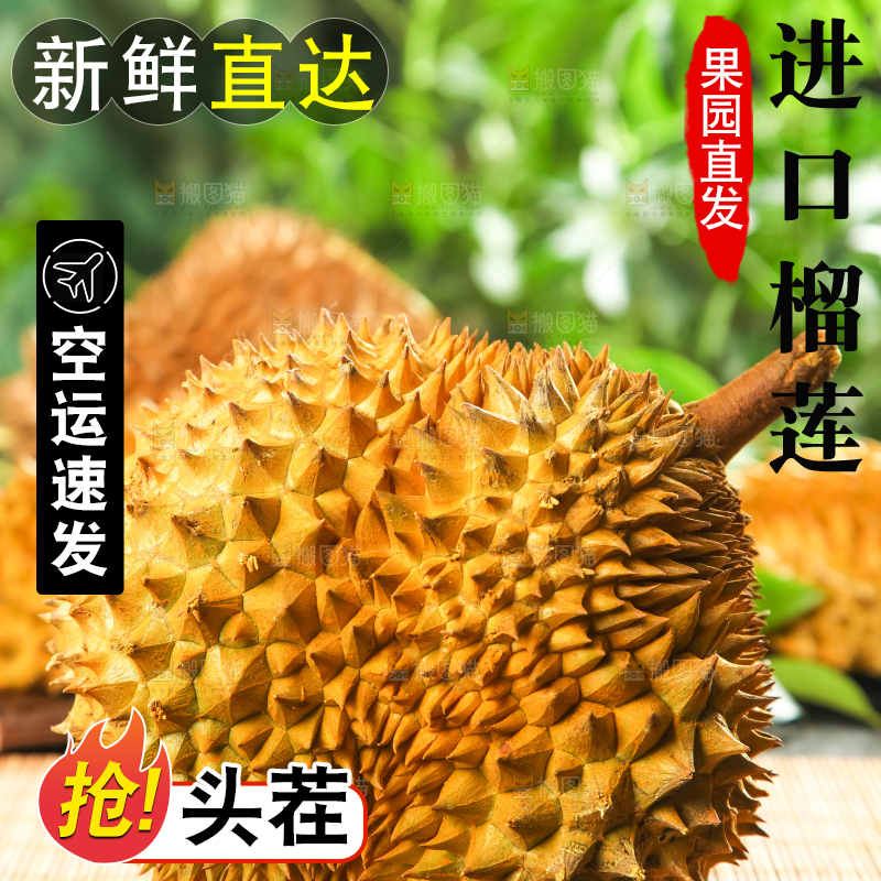 木底上放着金枕头榴莲