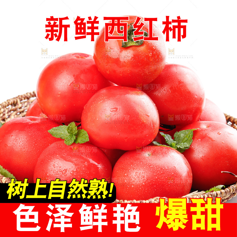 亮底上的新鲜西红柿