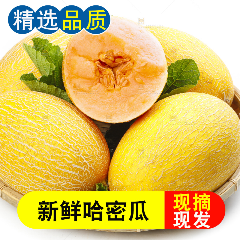 篮子里装着黄皮哈密瓜