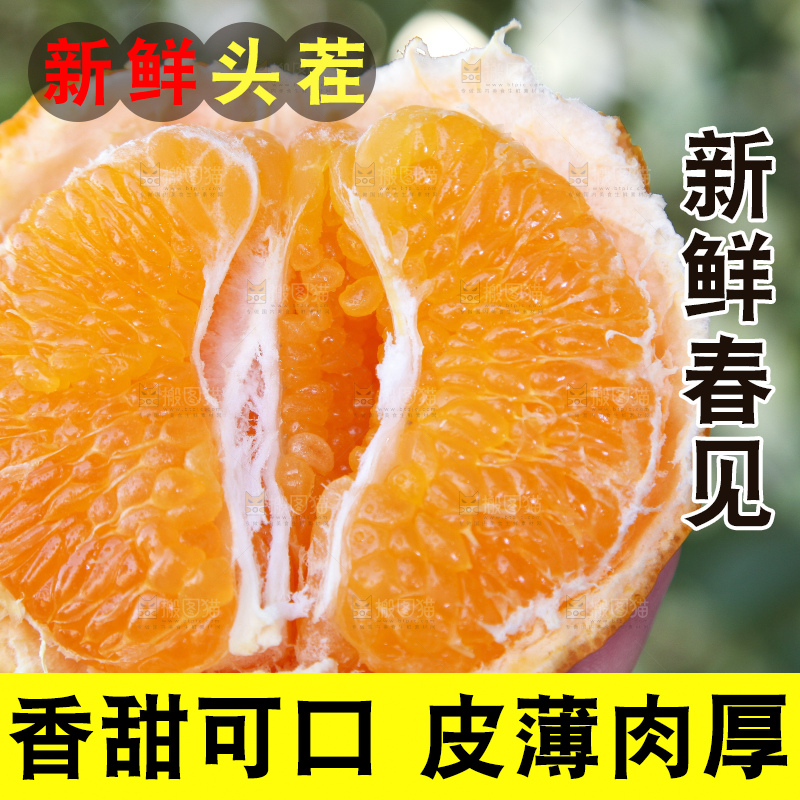 手里拿着耙耙柑