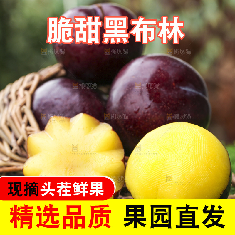 绿草地上放着黑李子