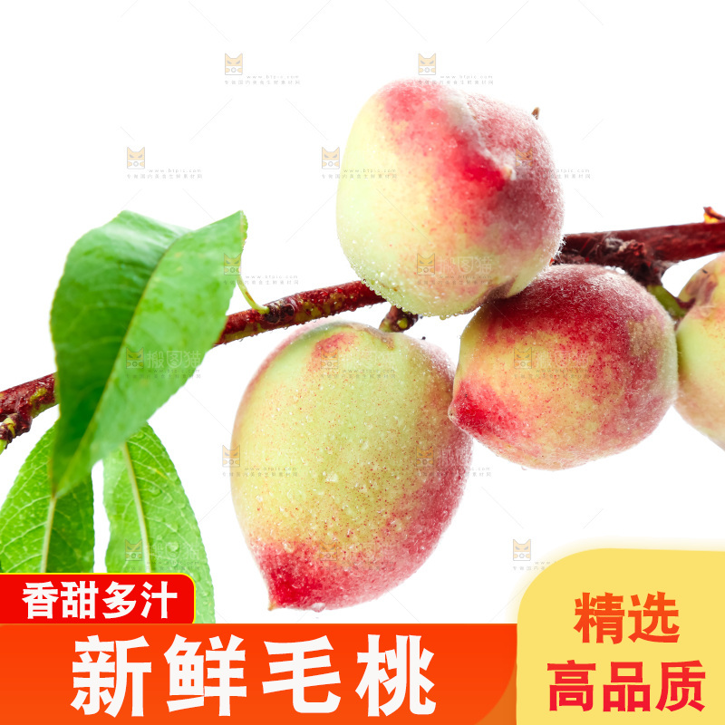 白底上摆放着毛桃