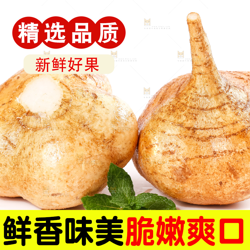 白底上放着凉薯