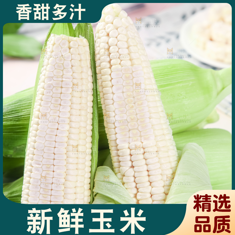 浅底上的牛奶水果玉米