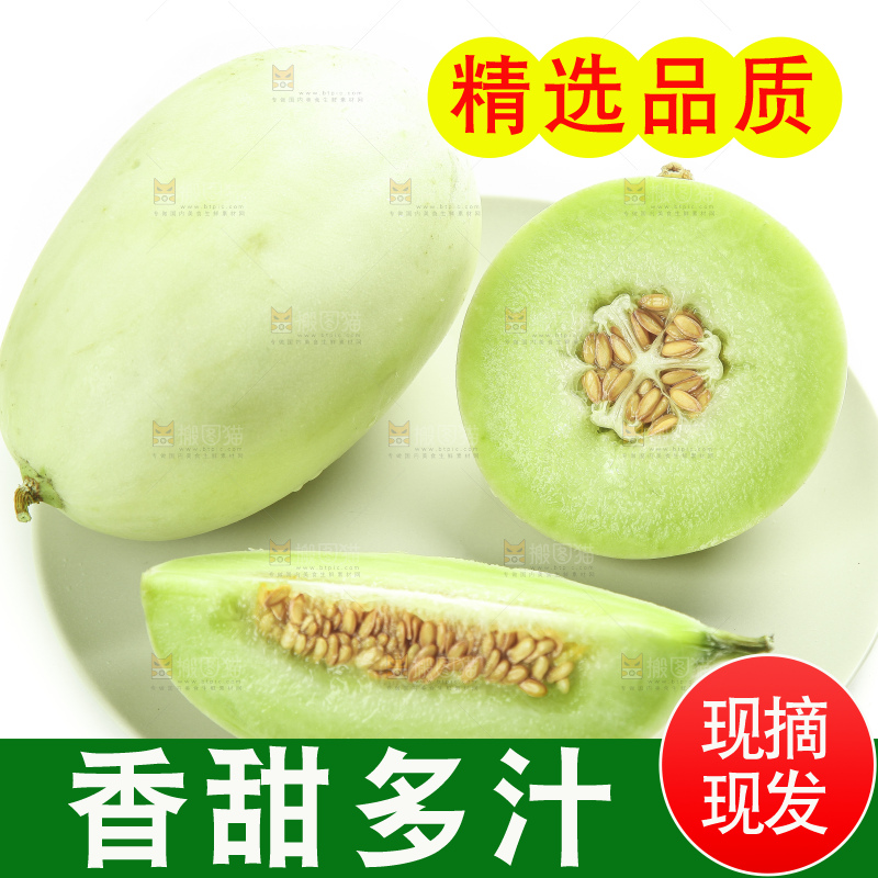 白底上摆放着南汇玉菇甜瓜