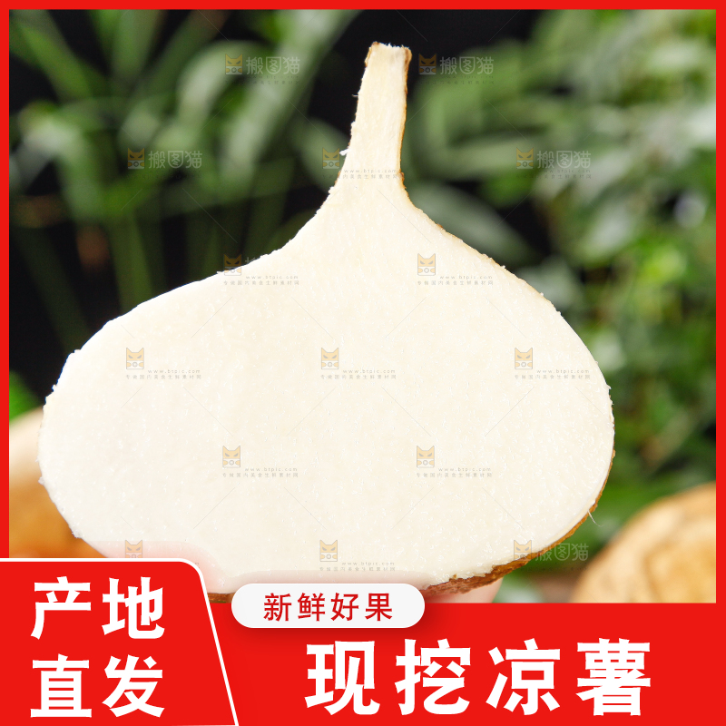 手里拿着地瓜