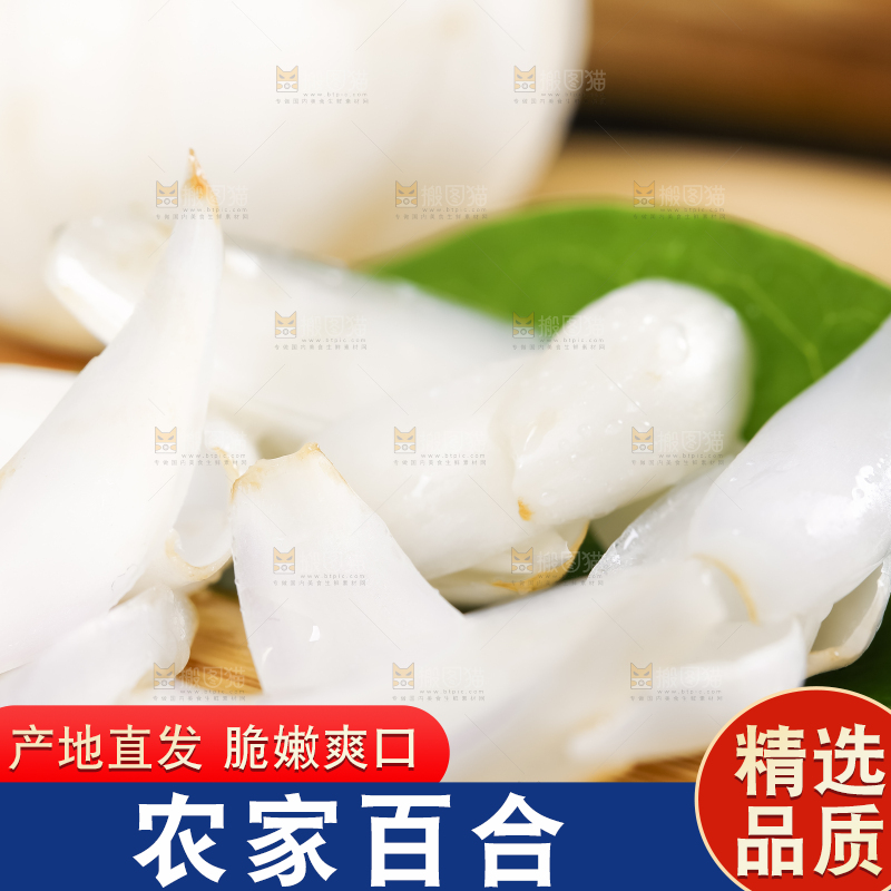 枝叶上摆放着百合