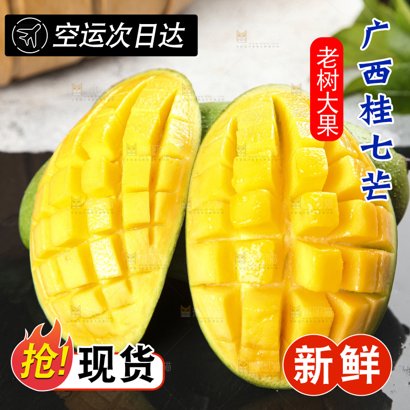 石板上的青皮桂七芒